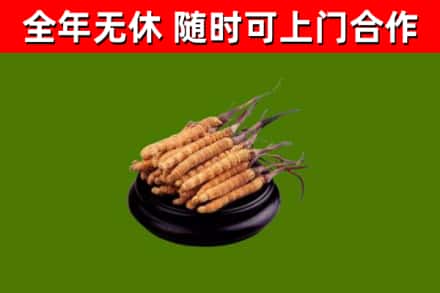 盐都区烟酒回收冬虫夏草.jpg